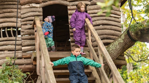 Plant yn mwynhau'r tŷ yn y coed ym Mhlas Newydd